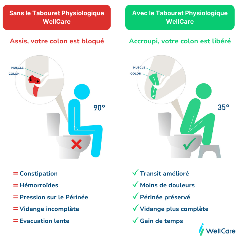 position recommandée aux toilette accroupi physiologique